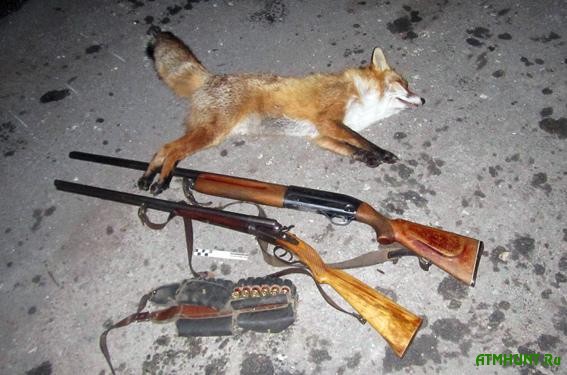 На Хмельниччине браконьер устроил охоту на лисиц прямо в нацпарке