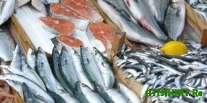 Iz-za uvelichenija vylova v Murmanskoj oblasti snizilis' ceny na rybu