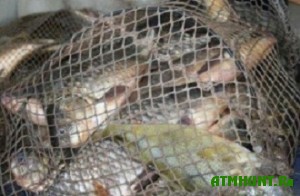 Brakon'er-podrostok nalovil ryby na 7 tysjach griven shtrafa