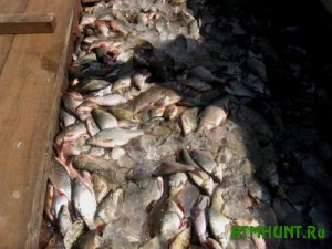 Odesskie brakon'ery nalovili ryby na 23 tysjachi griven
