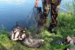 V Chernigovskoj oblasti pogranichniki zaderzhali rybnogo brakon'era