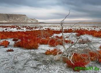 Vpervye za poslednie 600 let vysohla vostochnaja chast' Aral'skogo morja