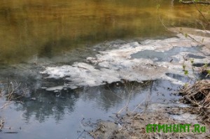V Zhitomirskih rekah Sluch i Homora zafiksirovali samyj vysokij uroven' toksichnosti, - rezul'taty analizov